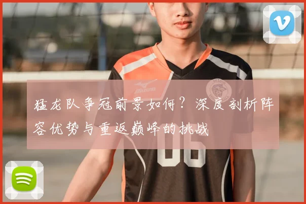 猛龙队争冠前景如何?深度剖析阵容优势与重返巅峰的挑战